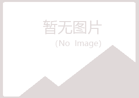 鹤岗兴山夜山冶炼有限公司